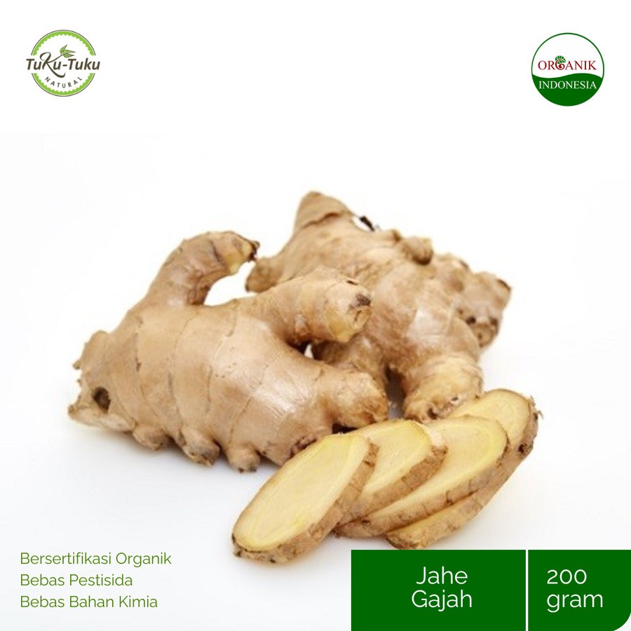 

JAHE GAJAH ORGANIK BSP FARM 200GR