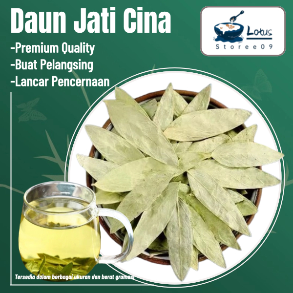 

Daun Jati Cina / Daun Senna untuk pelangsing 10g/50g/100g