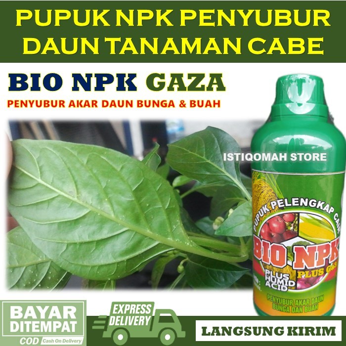 Pupuk Daun Cabe Yang Bagus Musim Hujan NPK GAZA 500ML Pupuk NPK Cair Pupuk Perangsang Daun Dan Bunga