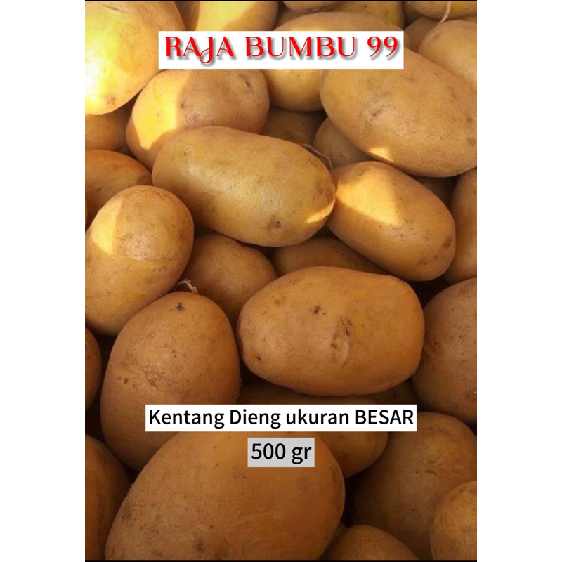 

KENTANG DIENG ASLI ukuran BESAR 500gr