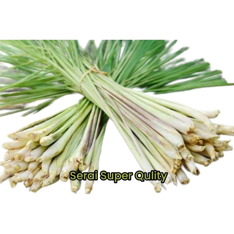 

SERAI SUPER