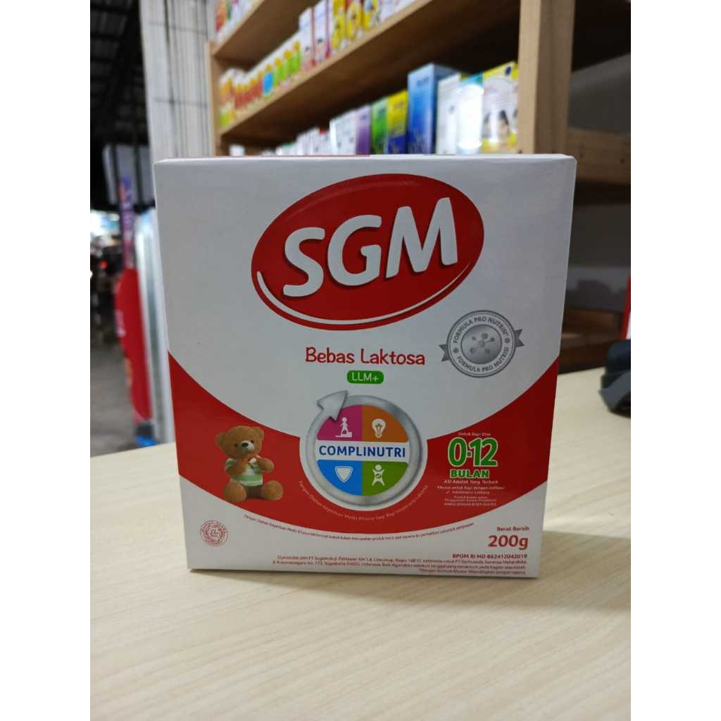 SGM LLM