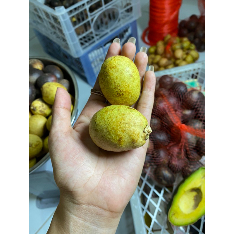 

Matoa freshh baru petik daging tebal 1 kg