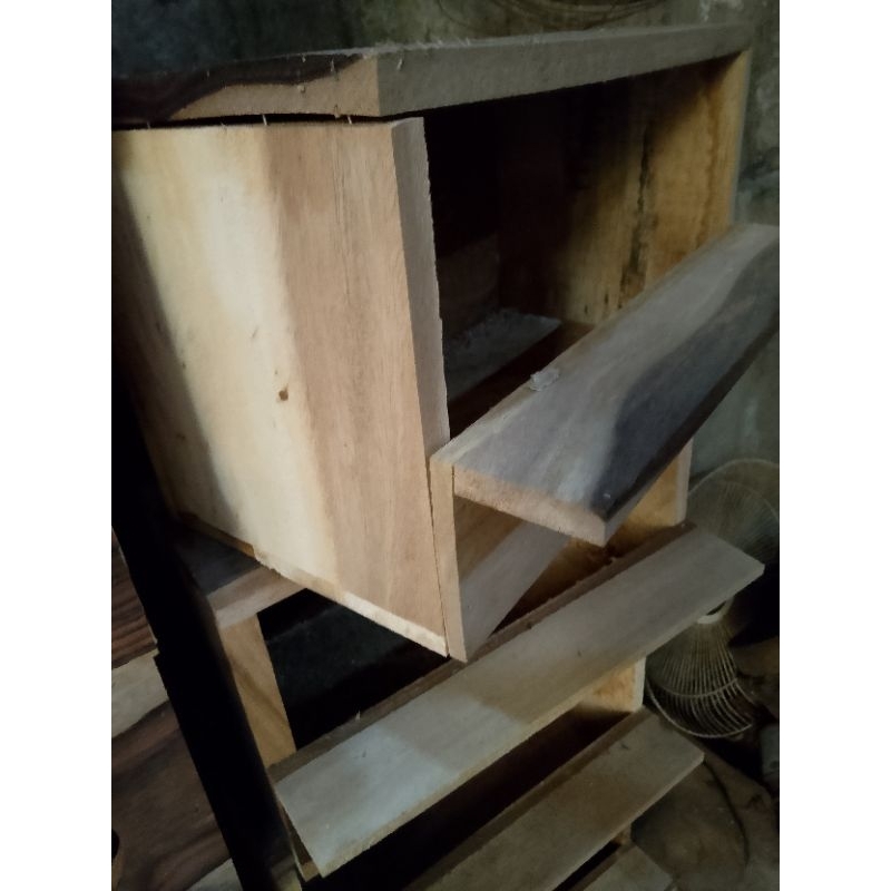 Glodok ternak burung murai, falk, Nuri dll