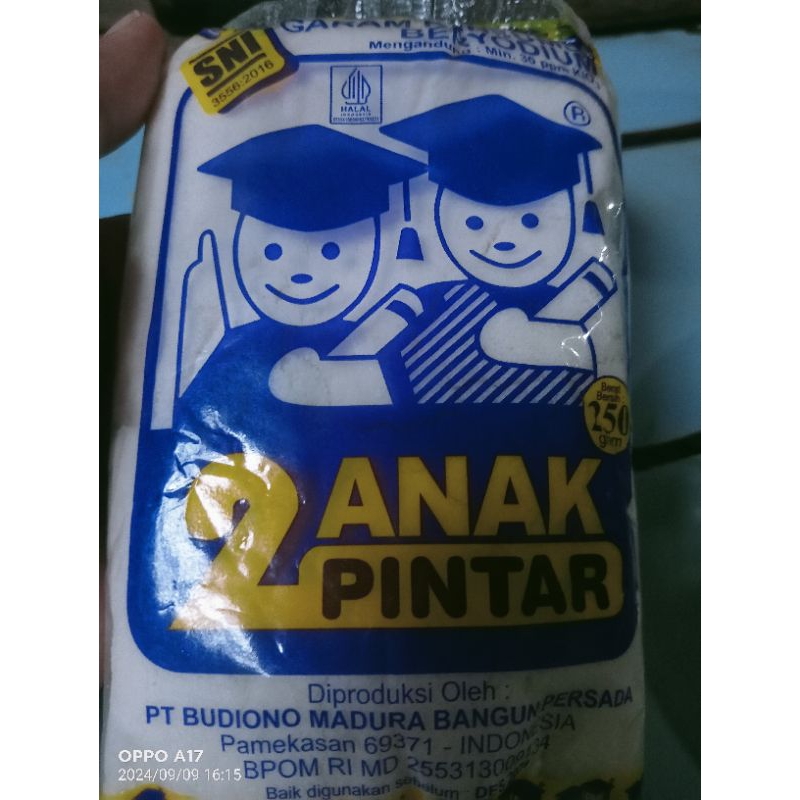 

1 bal garam beryodium 2 Anak Pintar
