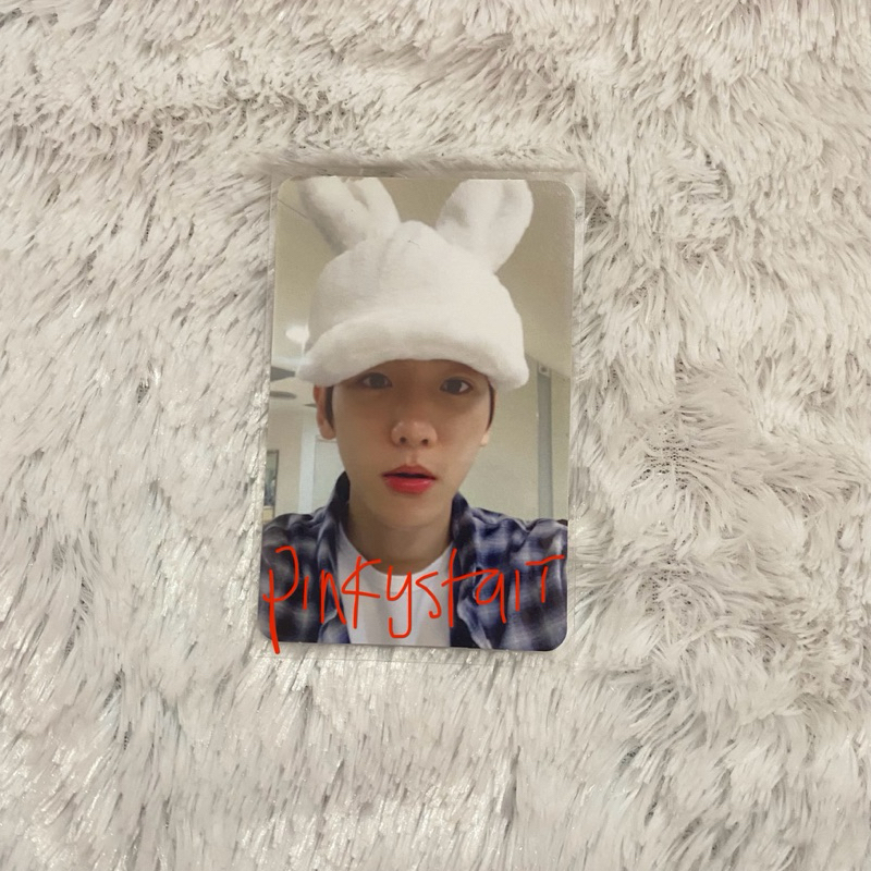 PHOTOCARD PC BAEKHYUN BUNNY EXO FORLIFE
