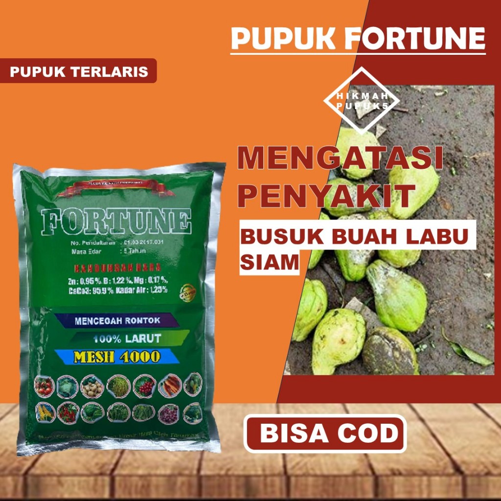Pupuk FORTUNE Atasi Penyakit Tanaman Busuk Buah Labu Siam, lemon, jeruk, timun Dll Obat Cair Kalsium