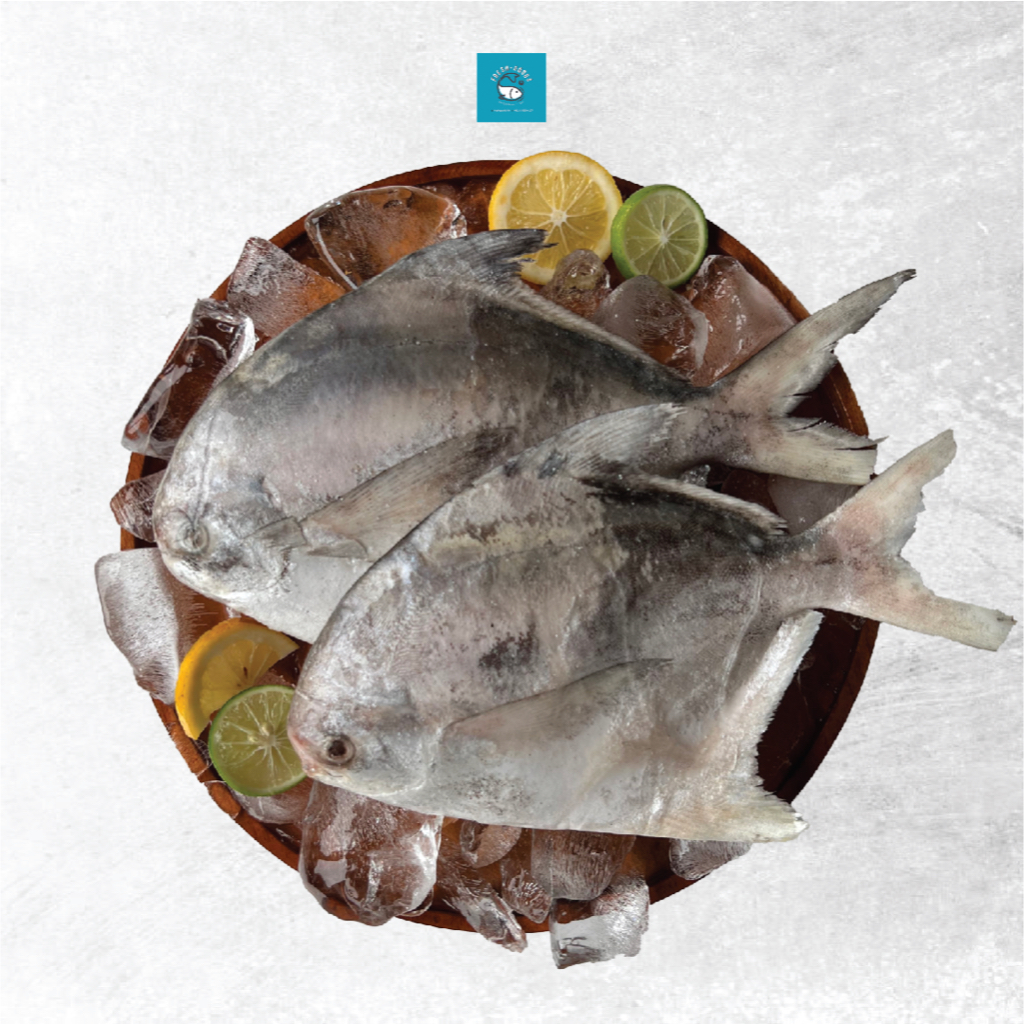 

Ikan Bawal Putih Segar Size 3-4 Ekor - Bawal Laut - Fresh Goods Jakarta Barat