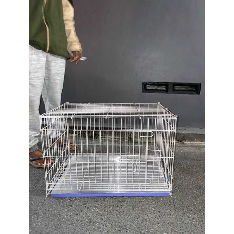 kandang kucing galvanis