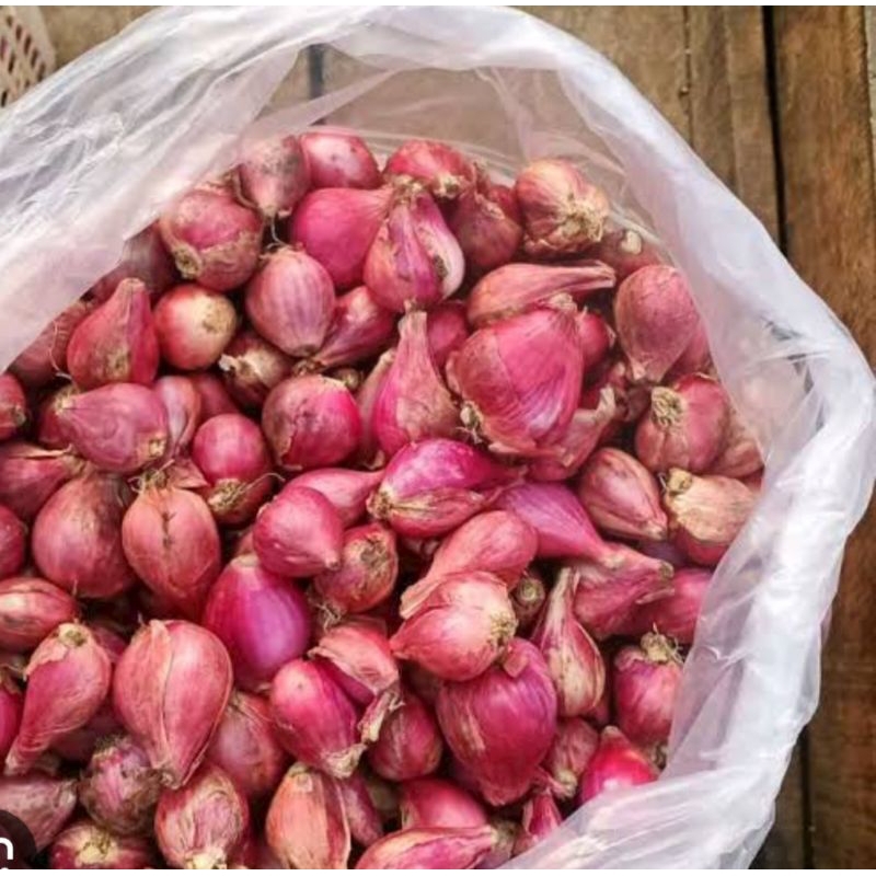 

BAWANG MERAG BREBES BUMBU 100GRAM