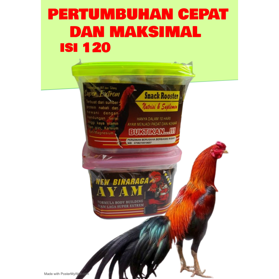 JAMU AYAM RAWATAN AYAM HARIAN BINARAGA AYAMDOPING AYAM ADUAN AYAM BANGKOK