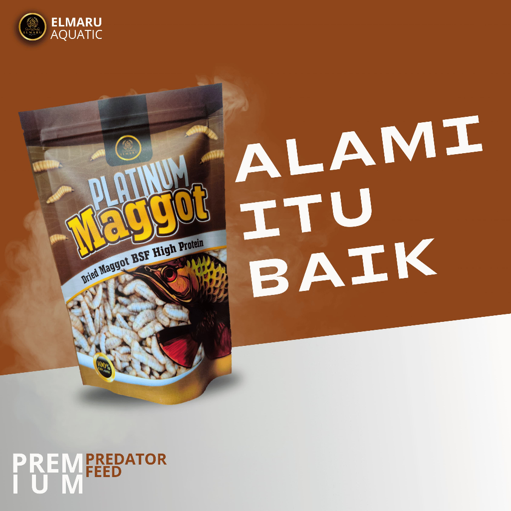PLATINUM Dried Maggot Kering Alami Ikan Arowana Arwana Super Red Golden Red Ikan Predator