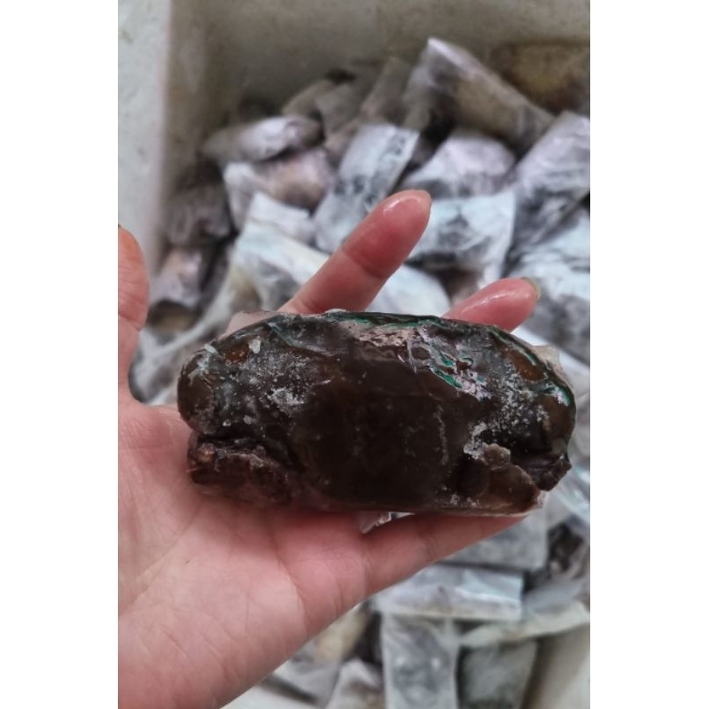 

Kepiting Lunak/ SoftShell Frozen