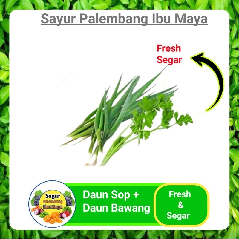 

Daun Sop + Daun Bawang - Sayur Fresh Pasar Satelit Palembang