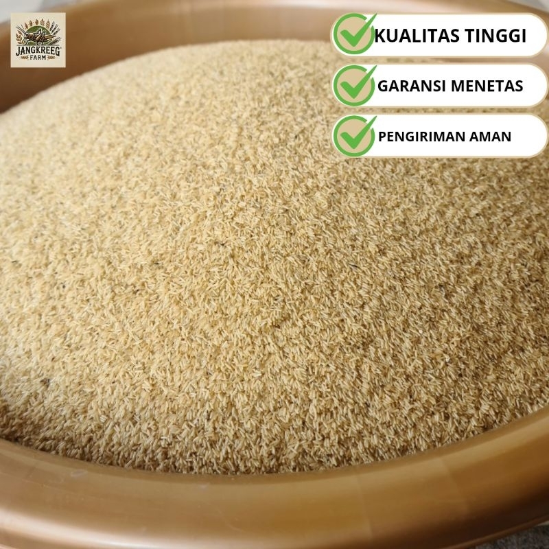 TELUR JANGKRIK (TJ) MADU KUNYIT