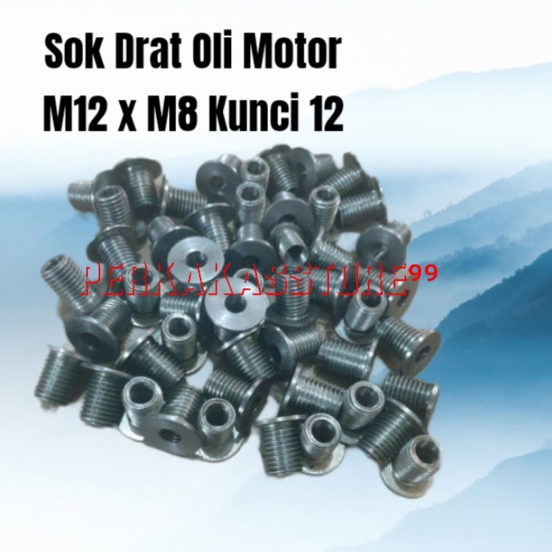 Sok Drat M12xM8 Panjang 17.8mm Bosh Drat Baut 17 ke 12