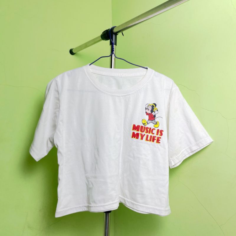 PRELOVED| BAJU CROP TOP | LENGAN BALON