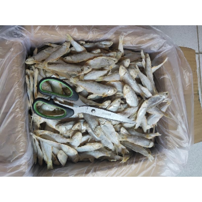 

IKAN ASIN BILIS KERING ISI 500GRM