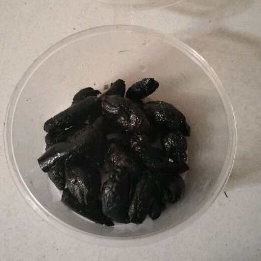 Umpan Kluwek Ampuh Untuk Bawal Siap Pakai,Bisa Buat Harian/Galatama