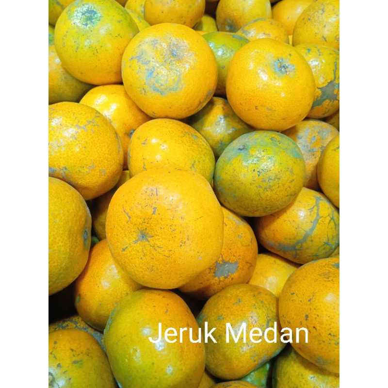 

Jeruk medan / Kg