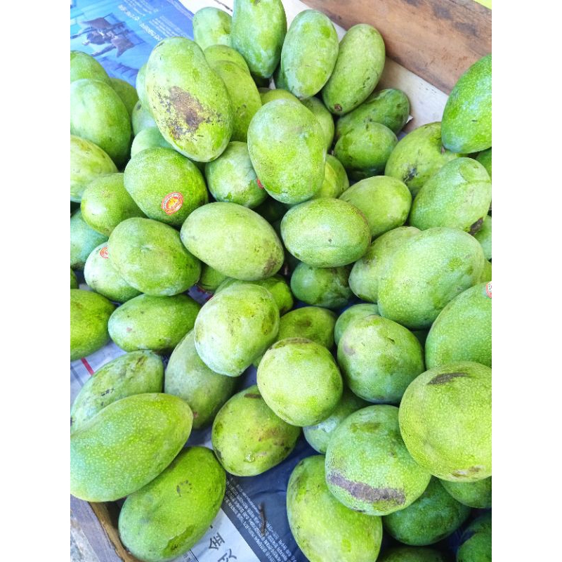 

Mangga indramayu besar / Kg