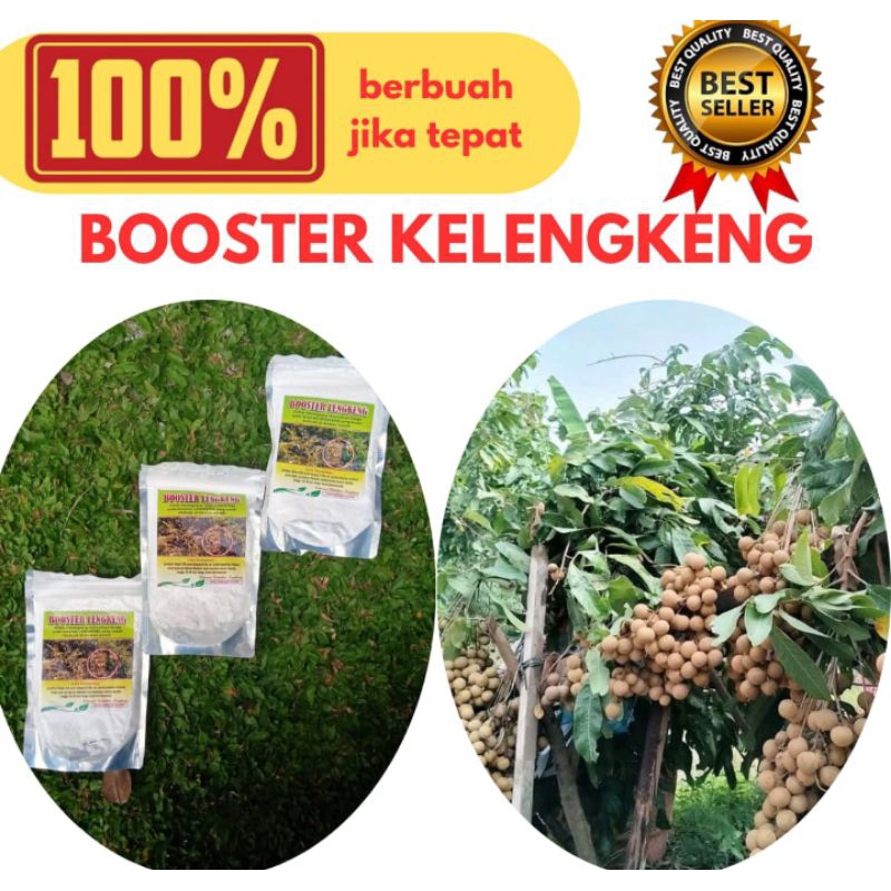 Jamin Asli... Booster Klengkeng Kclo3, Booster Klengkeng Murni