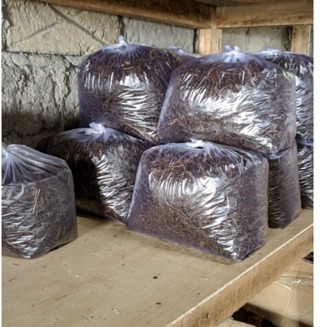 

Petani Muda - Teh 1kg Seduh Hitam Asli Kemuning Karanganyar