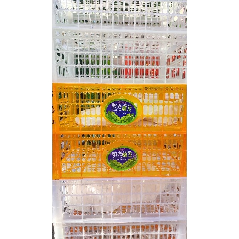 keranjang bekas anggur 1 pcs