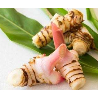

Lengkuas segar / Galangal - 500gr