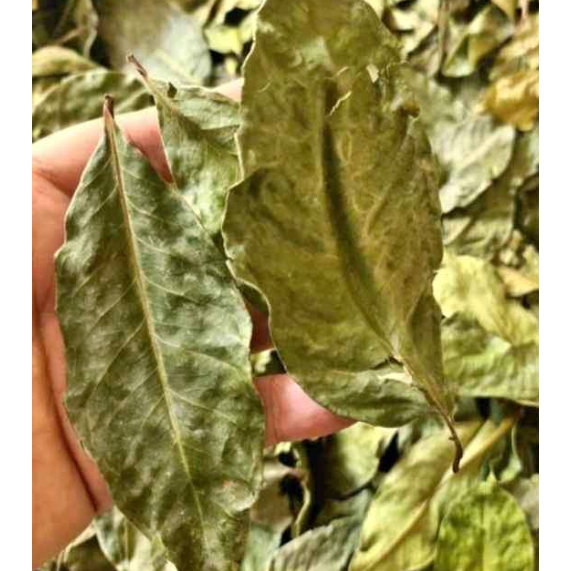 

Daun Salam / Bay Leaves - 100gr