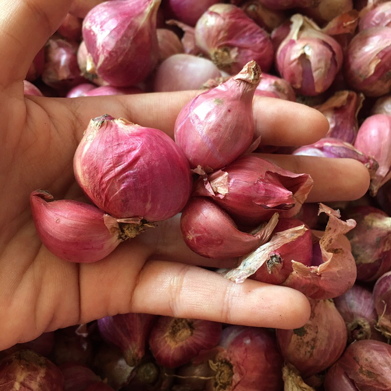 

BAWANG MERAH SUPER 1 KG, FRESH, KUALITAS TERBAIK, KERING,SUPER MUMER