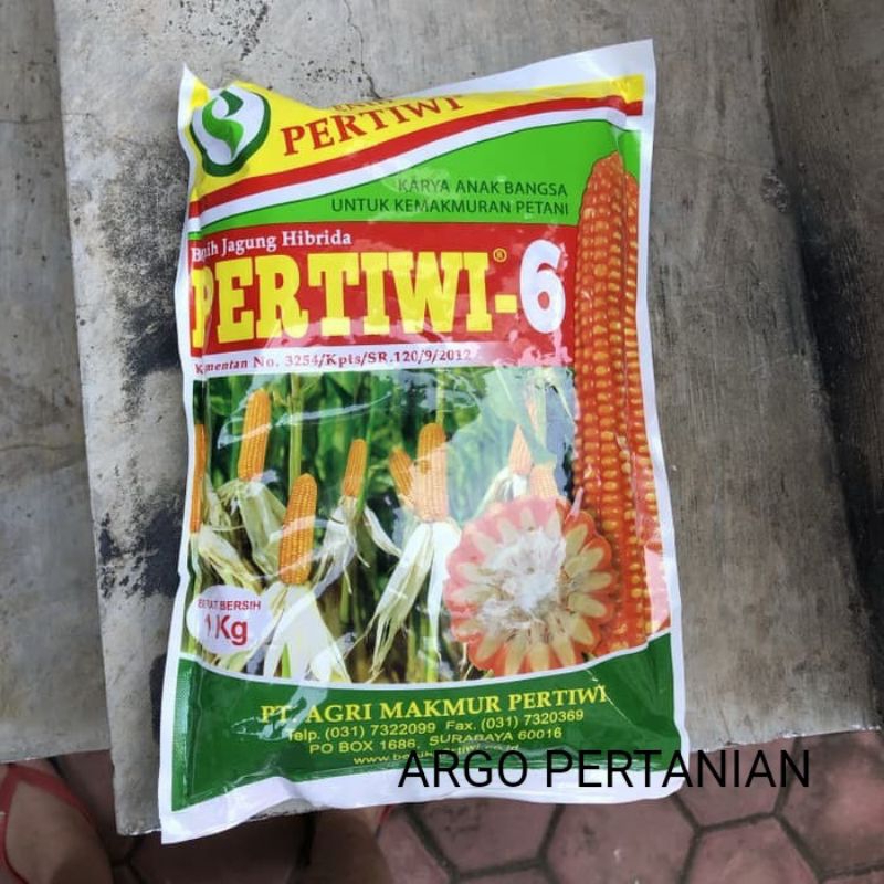 Benih Jagung Pertiwi 6