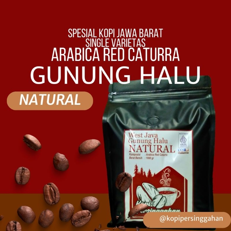 

Kopi Arabika Gunung Halu Red Caturra Specialty NATURAL