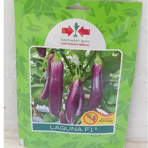 Benih Terong Laguna F1 400 Butir