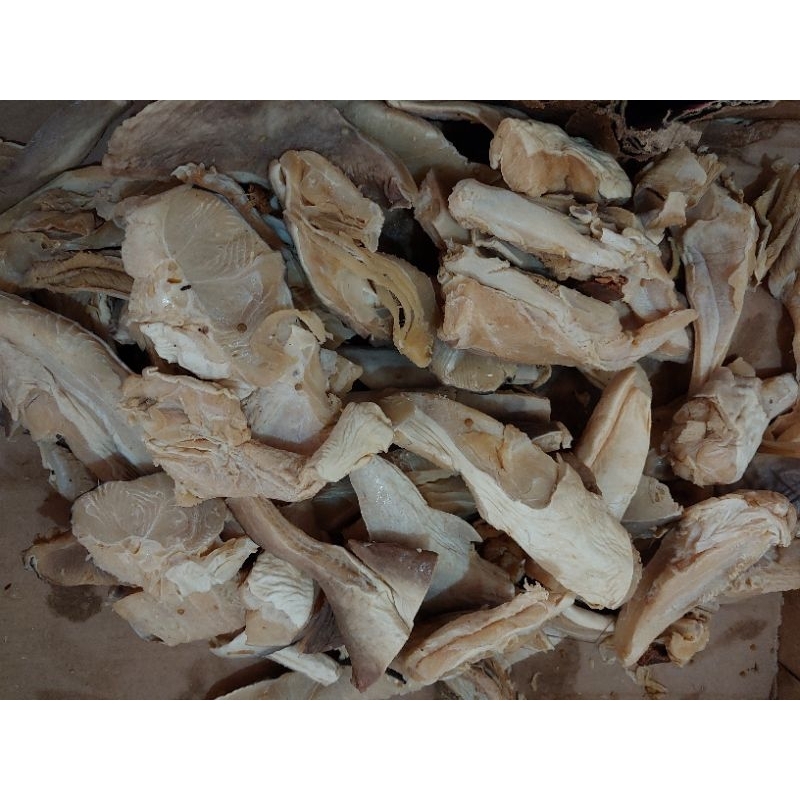 

asin cucut per 1 kilo