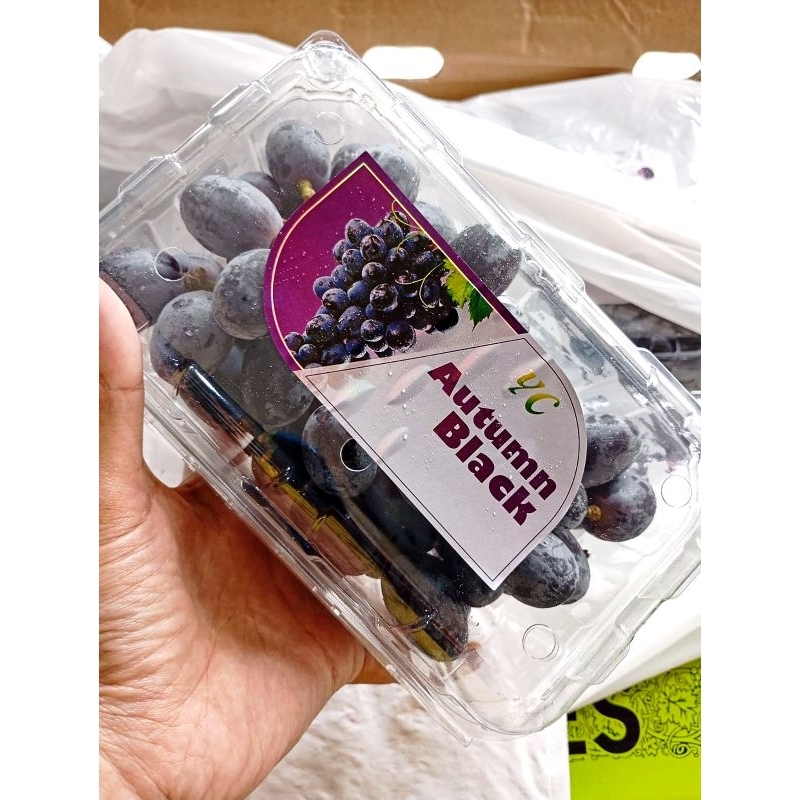 

Anggur BLACK AUTUMN fresh 500gr