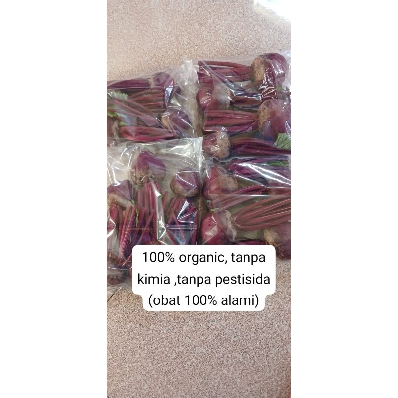 

beet 100% organik,tanpa kimia tanpa pestisida