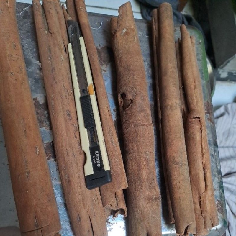 

kayu manis NTT