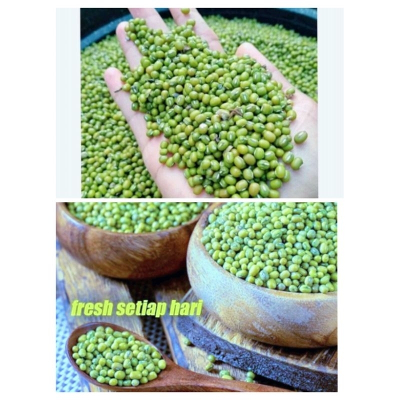 

promo 1kg kacang hijau bubur kualitas super panen terbaru 2024