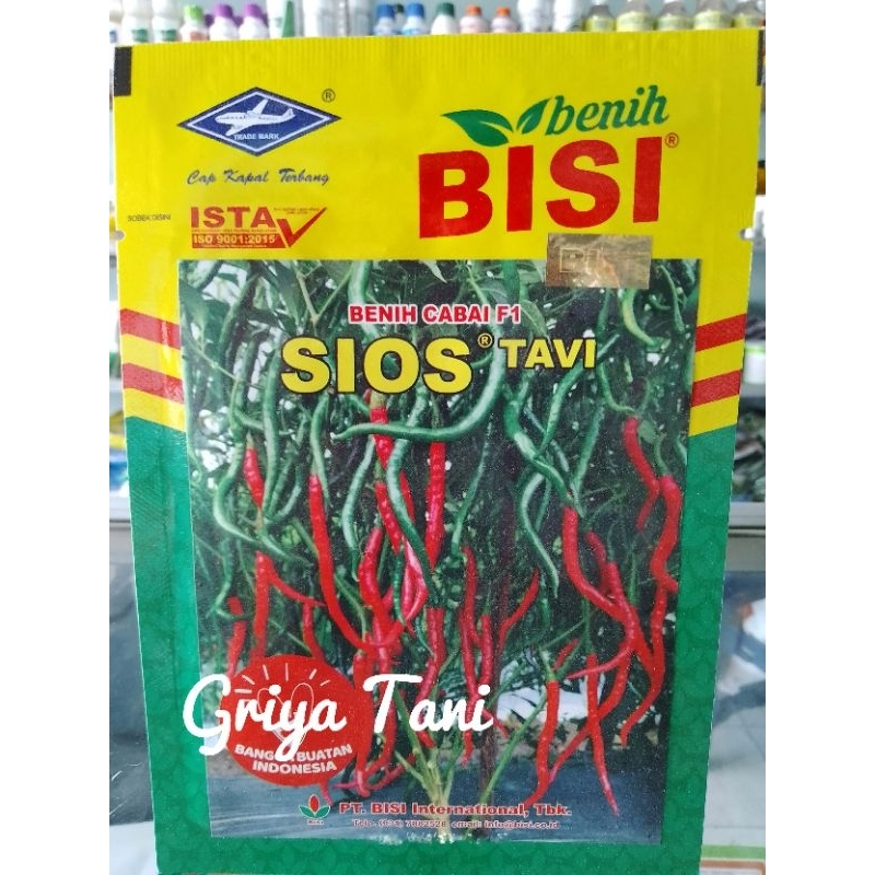 Benih Cabe Keriting Hibrida Sios Tavi 10 gram Original Cap Kapal Terbang