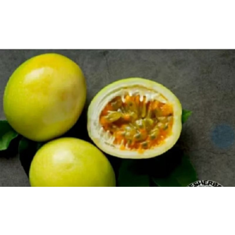 

buah markisa 1000 grm