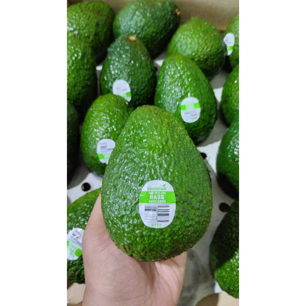 

Avocado Hass / Alpukat Hass perkg