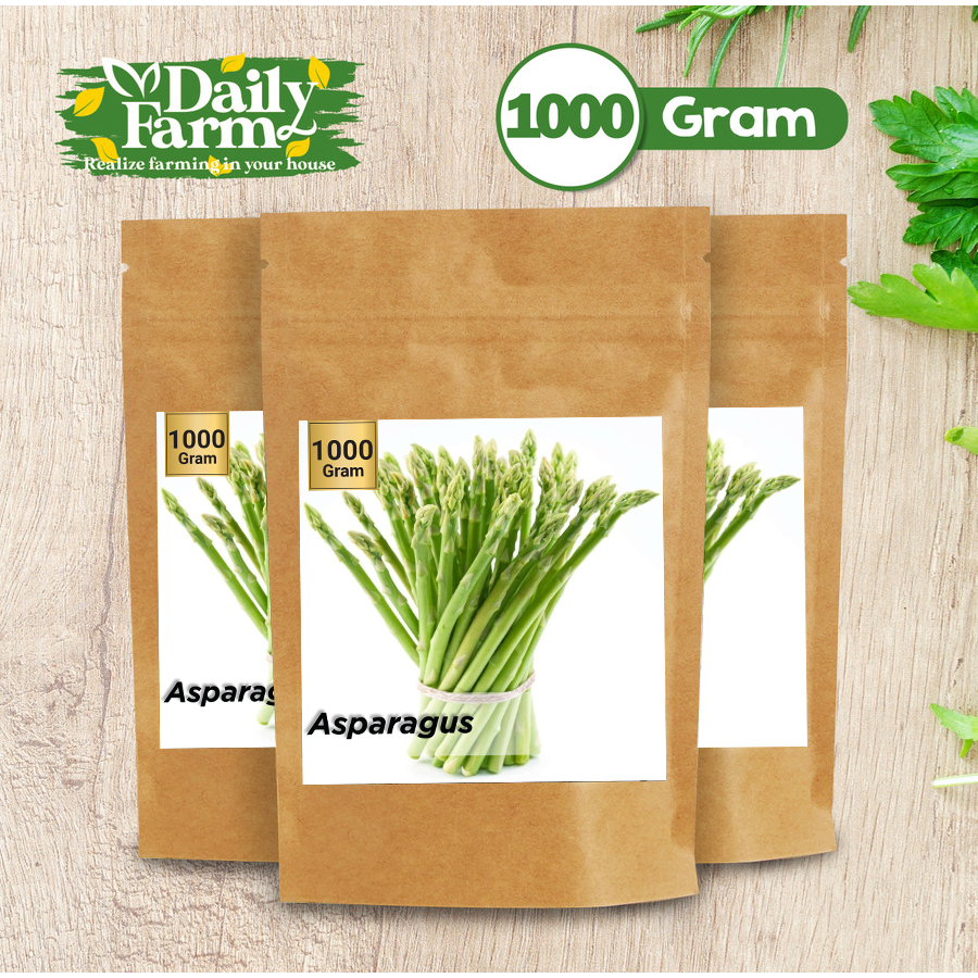Benih Sayur Asparagus Marry Washington - Sayur Asparagus - (1000 Gram)