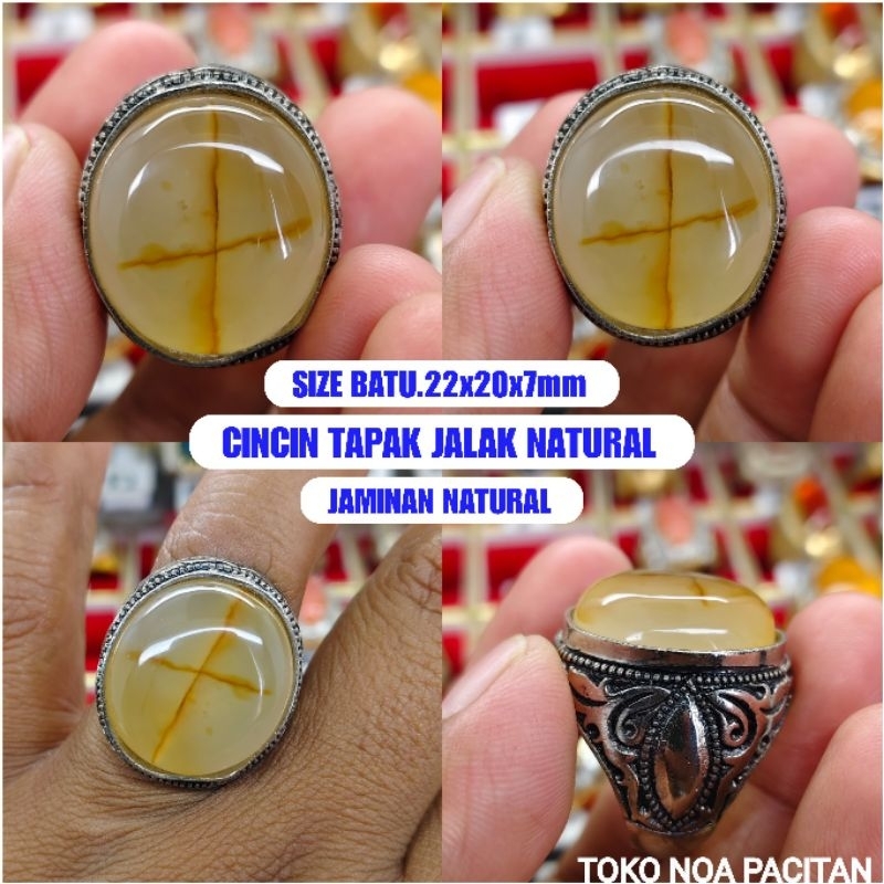 CINCIN TAPAK JALAK JAMINAN ASLI