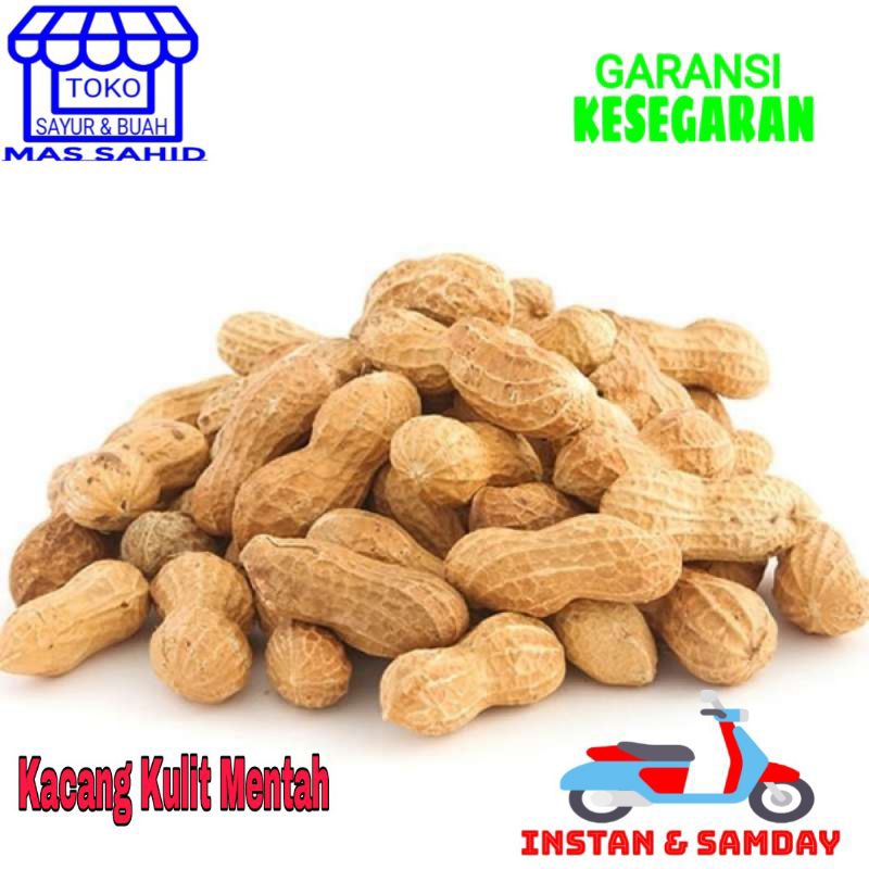 

Kacang Mentah Kacang Tanah Kulit Rebus Baru Panen