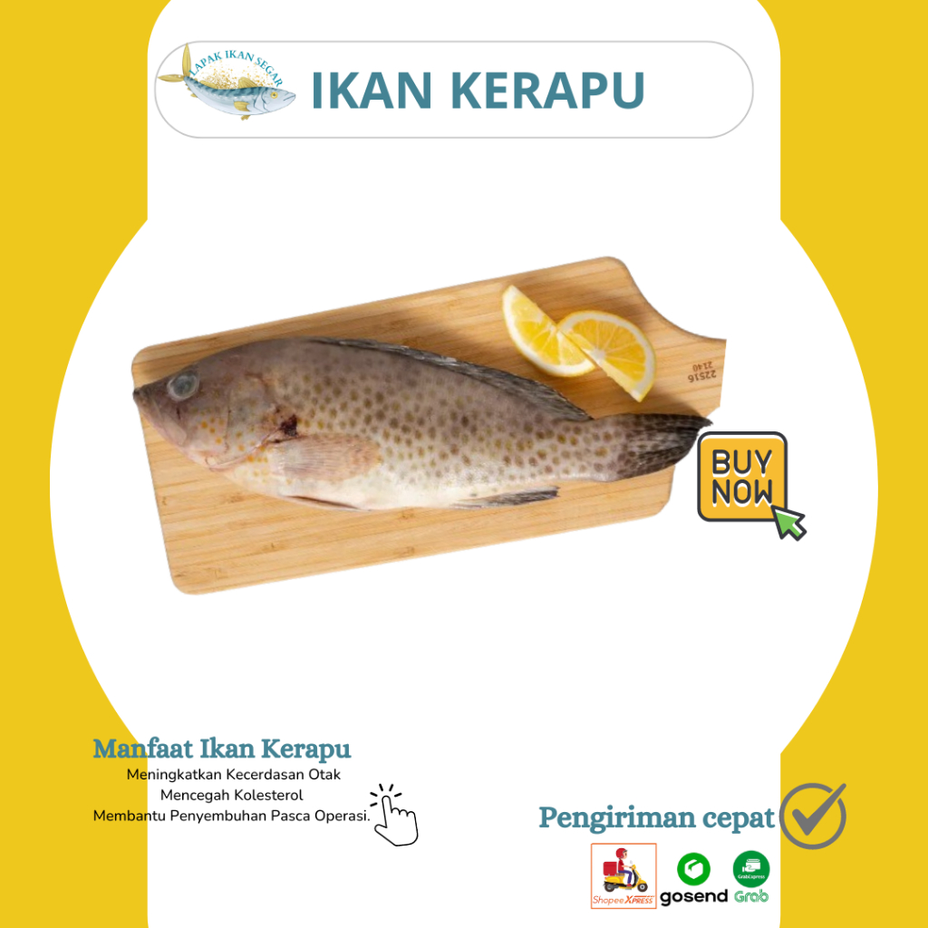 

Ikan Kerapu Segar/ Kerapu susu segar 1Kg