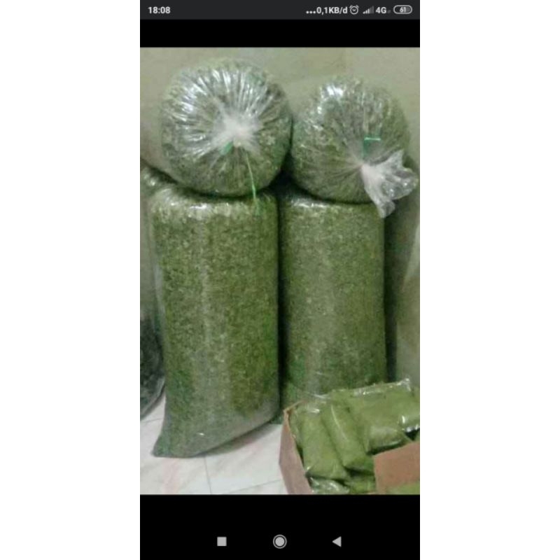 

Serbuk Daun Kelor Kering, Bubuk