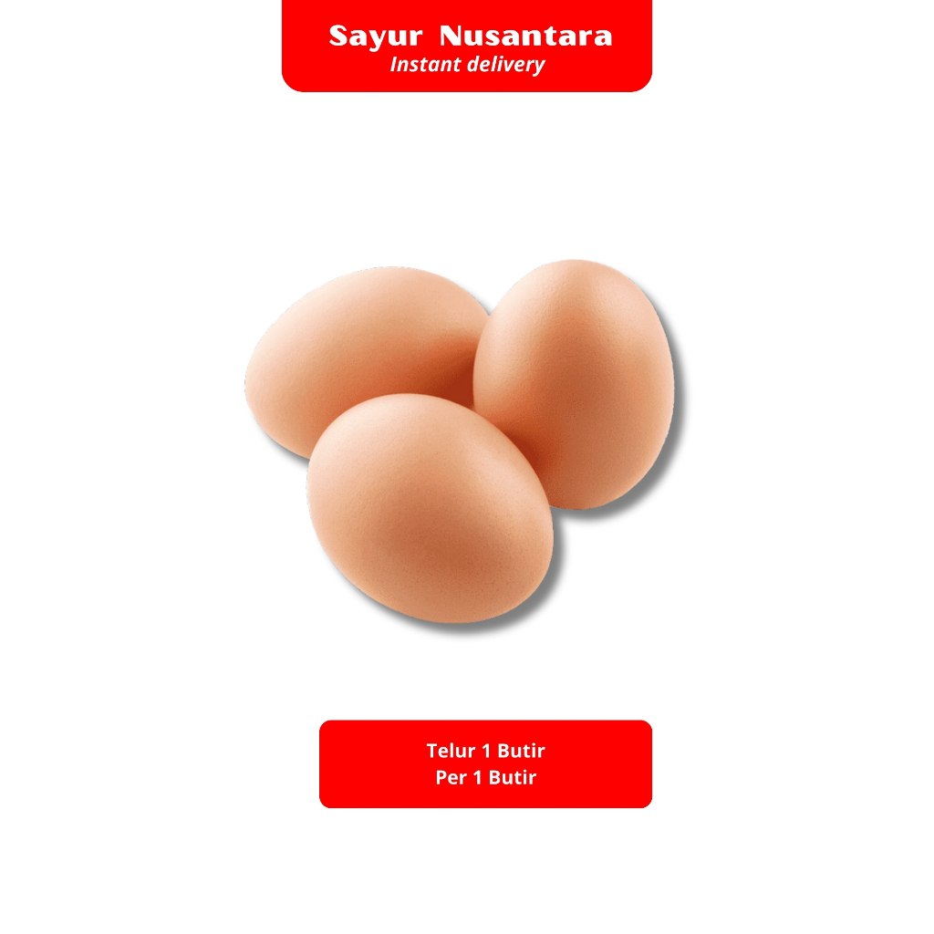 

Telur 1 Butir Per 1 Butir - Sayur Nusantara