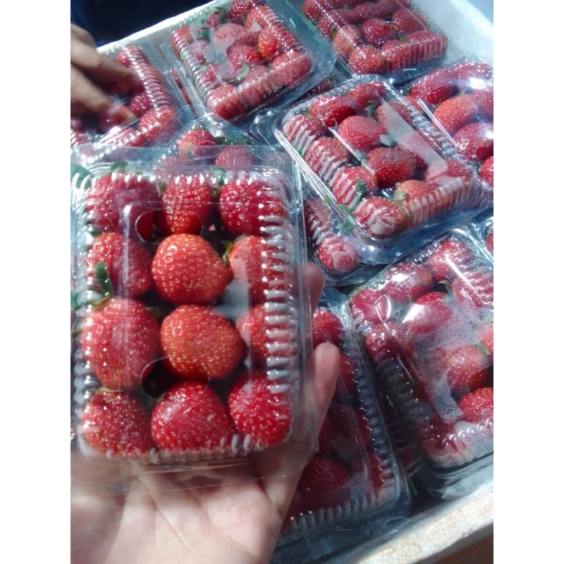 

Strawbery CO segar