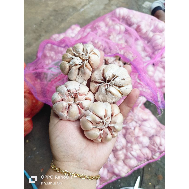 

BAWANG PUTIH SINCO 500gram